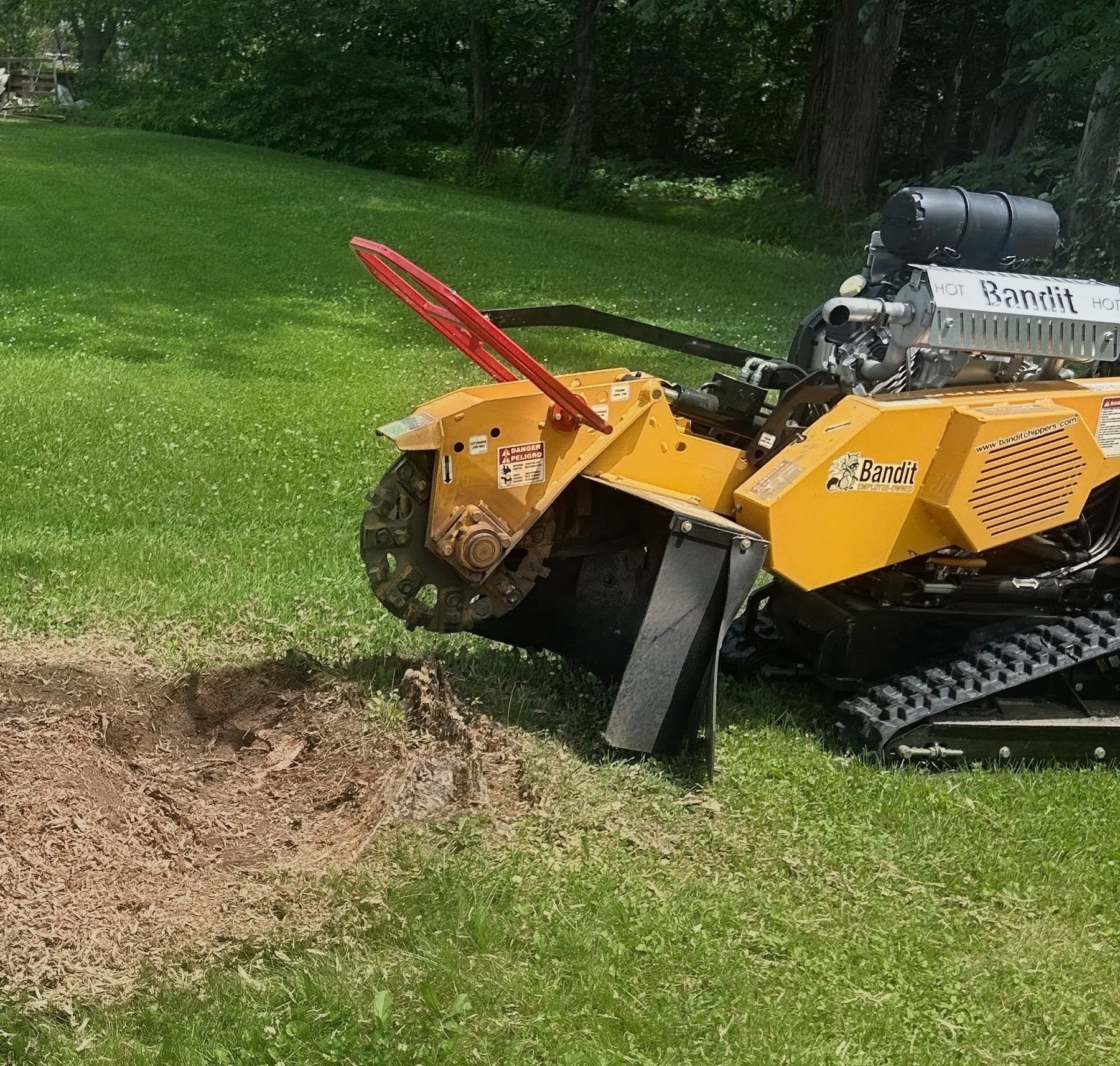 Bandit track stump grinder working on a stump